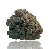Grape "Agate" - Indonesia