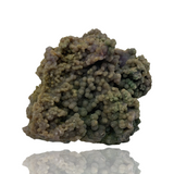 Grape "Agate" - Indonesia