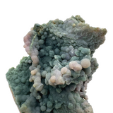 Grape "Agate" - Indonesia