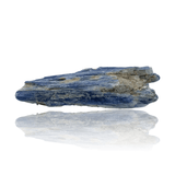 Mineralogy Minerals Blue Kyanite Spray with Quartz - Brazil