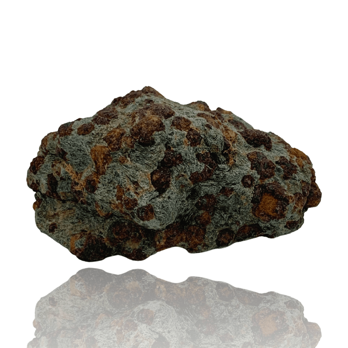 Garnets in Chlorite Matrix - North Carolina – Mineralogy