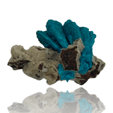 Mineralogy Minerals Huge Cavansite on Stilbite - India