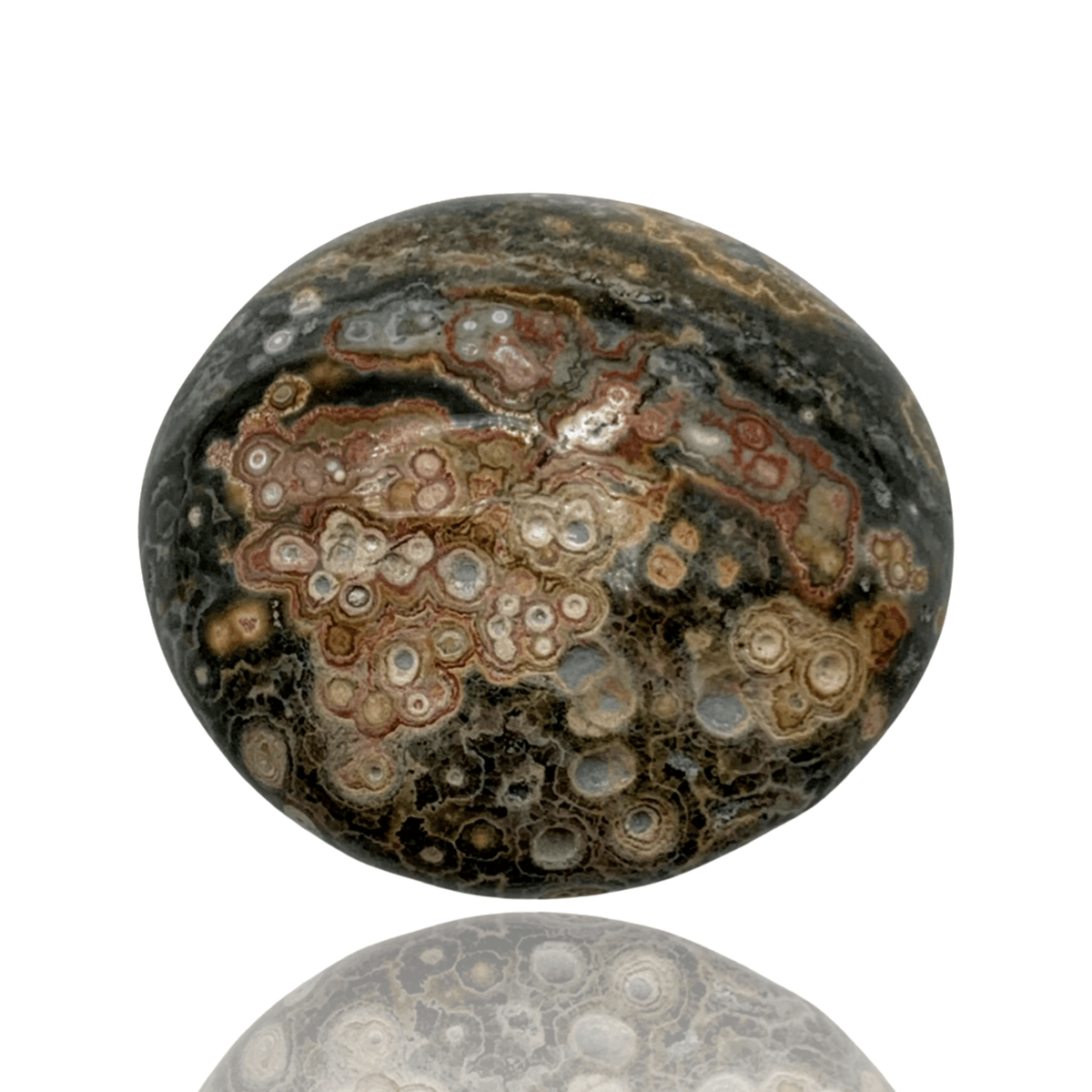 Ocean Jasper Palm Stone Madagascar Mineralogy