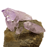 Mineralogy Minerals Vera Cruz Amethyst on Matrix - Mexico
