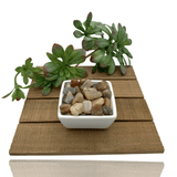 Mineralogy Pocket Stones Moonstone