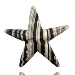 Zebra Onyx Starfish