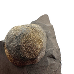 Pyrite Ball in Shale