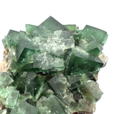 Cubic Green Fluorite - Naughty Gnome Pocket, England