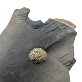 Pyrite Ball in Shale