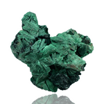 Fibrous Malachite - D.R. Congo