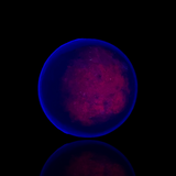 2.2 Inch Ruby in Kyanite Sphere - Fluorescent!