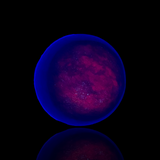 2.0 Inch Ruby in Kyanite Sphere - Fluorescent!
