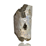 Mineralogy Iridescent Baculite Fossil (Straight Ammonite)
