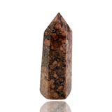 Mineralogy Minerals 2.7 Inch Leopard Jasper Tower