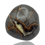 Mineralogy Minerals 2.9 Inch Septarian Turtle Back