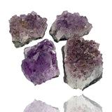Mineralogy Minerals Amethyst Cluster - Brazil