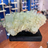 Mineralogy Minerals Aquamarine with Muscovite Mica - Pakistan