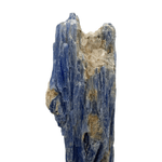 Mineralogy Minerals Blue Kyanite Spray with Quartz - Brazil