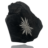 Mineralogy Minerals Chrysanthemum Stone - China