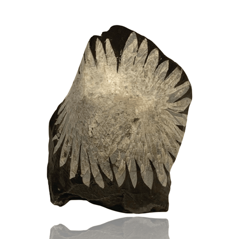 Mineralogy Minerals Chrysanthemum Stone - China