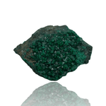 Mineralogy Minerals Double-Sided Dioptase - D.R. Congo