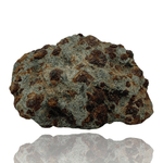 Mineralogy Minerals Garnets in Chlorite Matrix - North Carolina