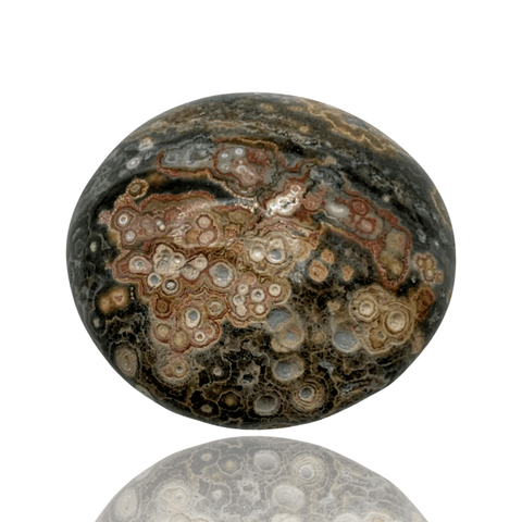 Mineralogy Minerals Ocean Jasper Palm Stone - Madagascar