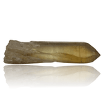 Mineralogy Minerals Pristine Natural Citrine Point - Zaire