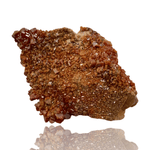 Mineralogy Minerals Vanadinite Crystals on Matrix - Morocco