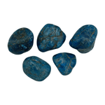 Mineralogy Pocket Stones Large Blue Apatite