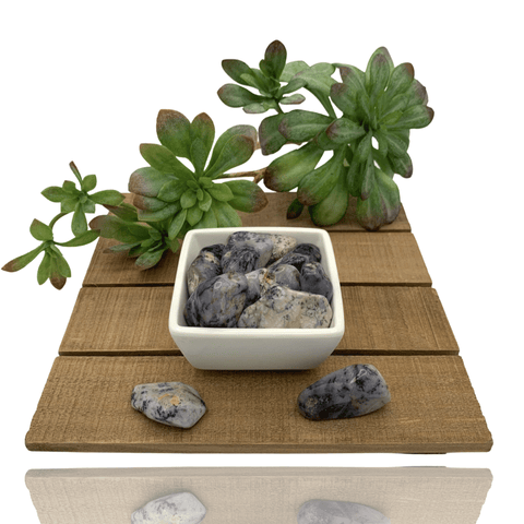 Mineralogy Pocket Stones Dendritic Agate