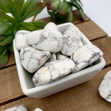 Mineralogy Pocket Stones Howlite