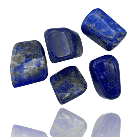 Mineralogy Pocket Stones Large Lapis Lazuli