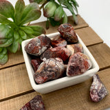 Mineralogy Pocket Stones Red Crazy Lace Agate